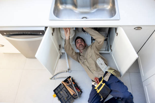 Best Water Softener Installation  in Licking, MO