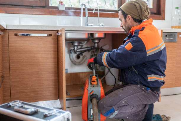 Best Plumbing Services Near Me  in Licking, MO
