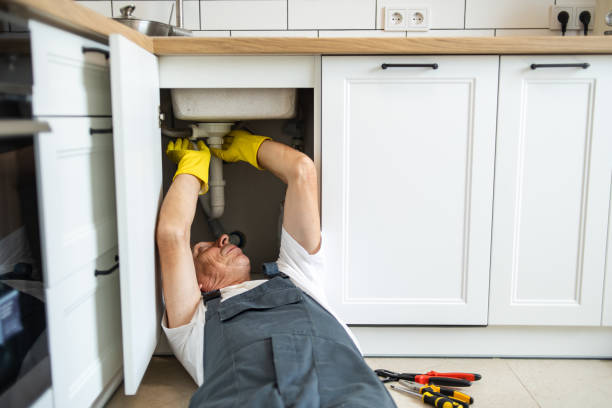 Best 24-Hour Plumber Near Me  in Licking, MO